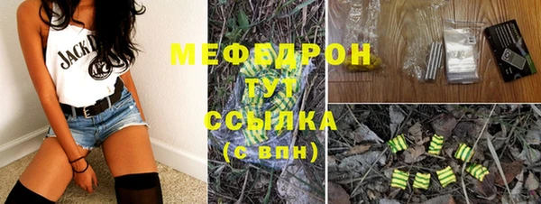 гашик Няндома