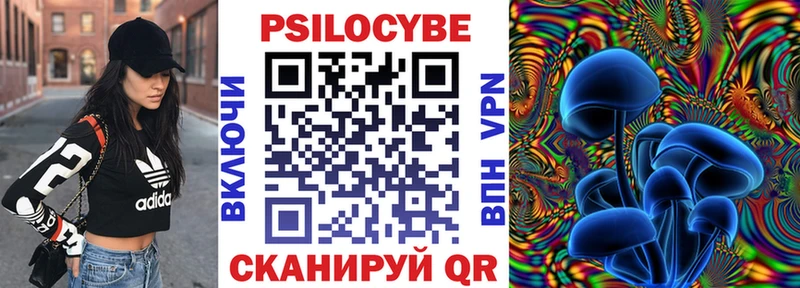 Галлюциногенные грибы мицелий  Купить где  Адыгейск 